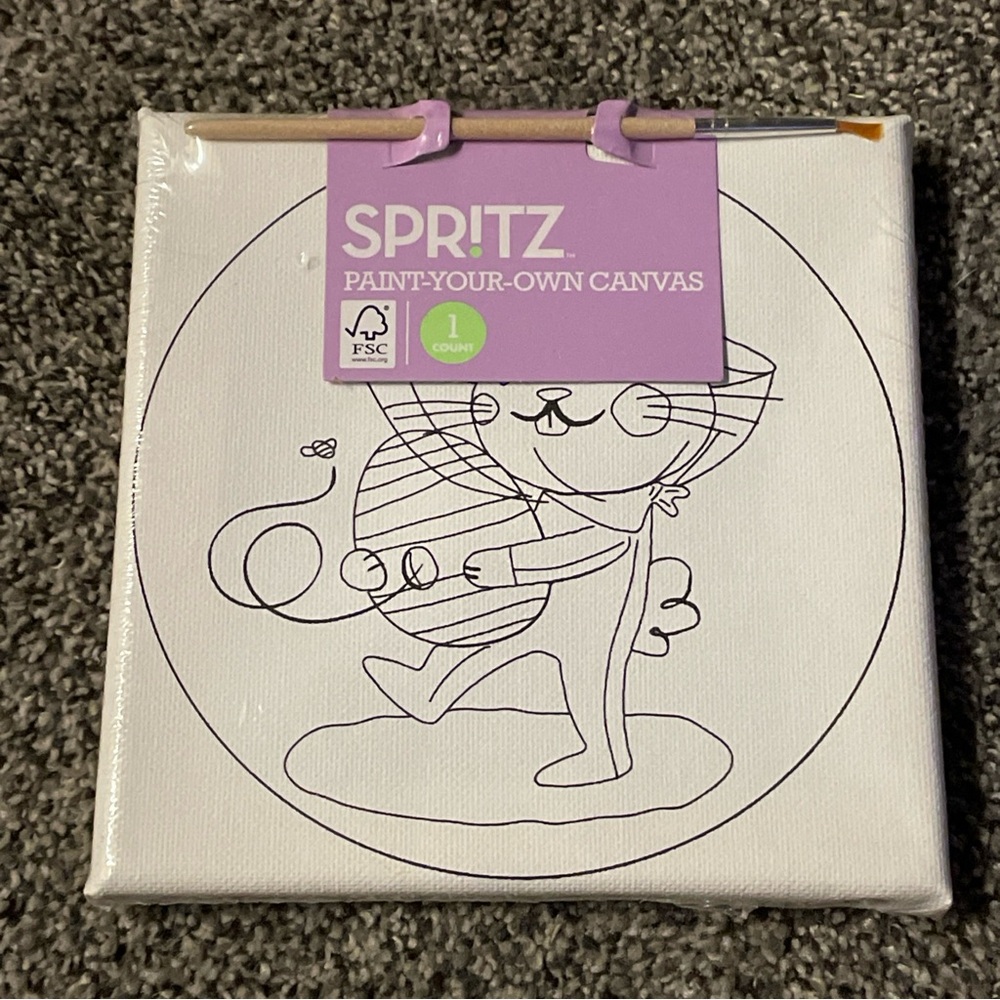 Spritz Paint Your Own Canvas Painting Set 6”x6”